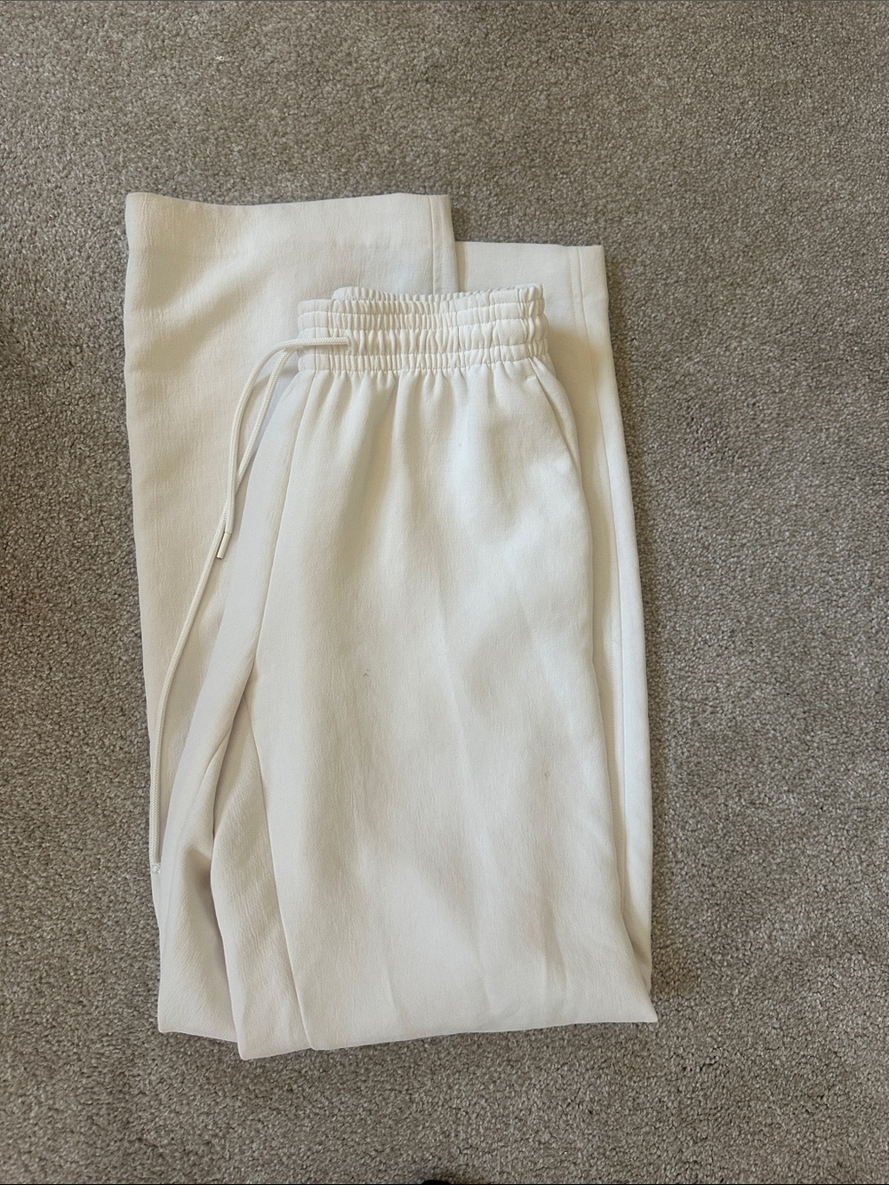 Aritzia Lodge Pants
